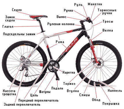 анатомия велосипеда